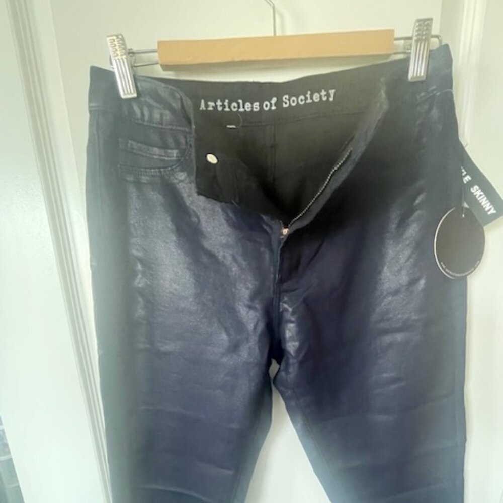 Articles of Society Metallic Skinny Jeans